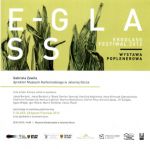 Wystawa poplenerowa „E-GLASS. EKOGLASS FESTIWAL 2012” 